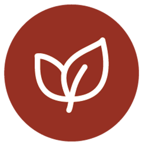 節(jié)能環(huán)保